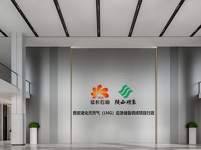现代其他办公空间 现代接待大厅 石油公司大厅 电梯间 公司文化墙 旋转门