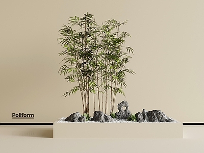 竹子 现代竹子 花坛