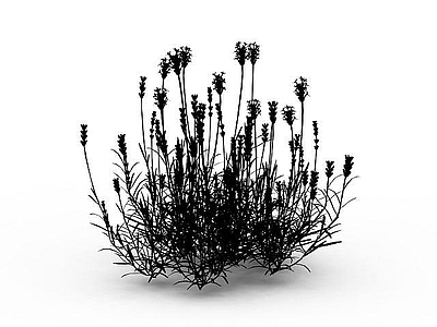 现代佛龛 花草植物