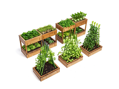其他工业设备 蔬菜种植器皿