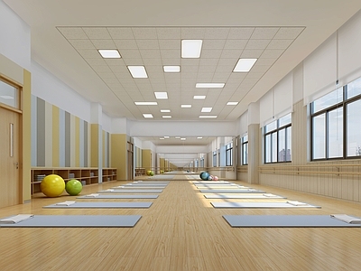 现代瑜伽室 学校舞蹈教室 机构瑜伽室 瑜伽馆