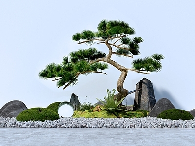现代中式其他景观小品 景观树 庭院小品 罗汉松 假山水景