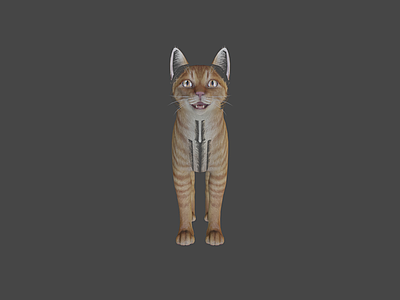 其他动物 猫