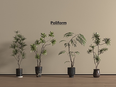 盆栽 盆栽 中古风盆栽 盆景 绿植盆栽