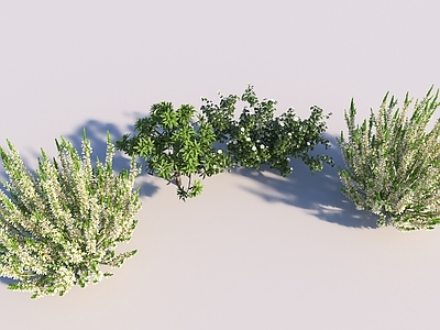 植物堆 绿植 植物 草丛