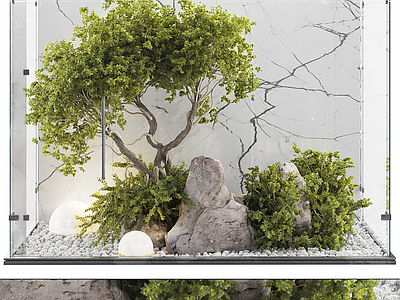 植物堆 植物堆 玄关绿植