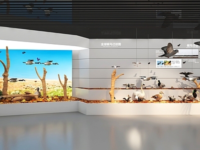 现代其他文化展厅 候鸟迁徙科普展厅