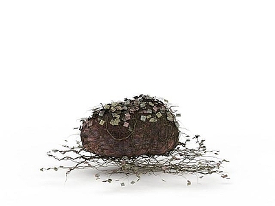 现代其他电器 枯萎藤蔓