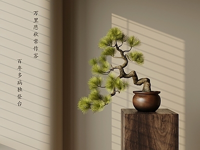 盆栽 新中式盆栽盆景 绿植摆件