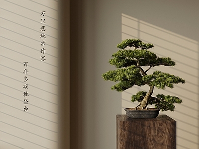 盆栽 新中式盆栽盆景 绿植摆件