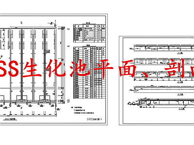 水处理 CASS生化池 施工图