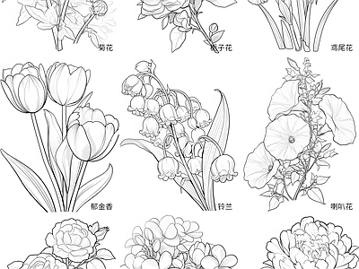 现代综合植物图库 花朵 施工图