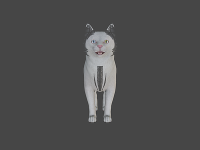 虚拟人物 胖猫 白猫