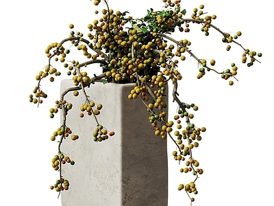 现代花艺 现代花艺摆件 盆景盆栽 绿植摆件 干支 艺术插花