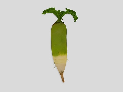 酒水食物 蔬菜 萝卜 白萝卜