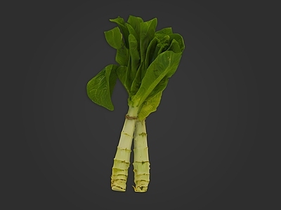 酒水食物 蔬菜 莴笋