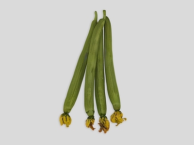 酒水食物 蔬菜 丝瓜 瓜果