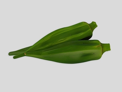 酒水食物 蔬菜 秋葵