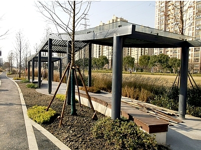 综合性公园 钢结构廊 玻璃顶廊架 坡面景观廊结构图 休闲廊架 施工图