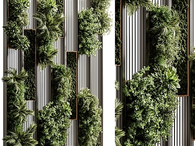 绿植墙 现代植物墙 植物墙