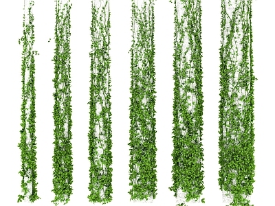 绿植墙 绿植墙 墙面植物 墙面绿化 藤条 花藤