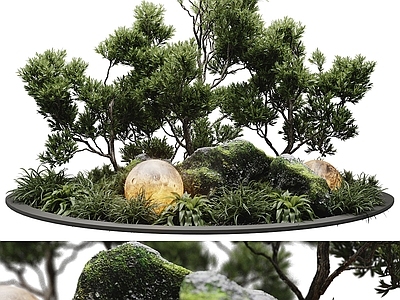 景观树 现代植物景观 植物堆灌木 绿植 绿植造景