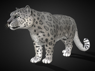 其他动物 雪豹