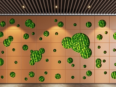 绿植墙 植物墙 植物造景 苔藓 景观墙