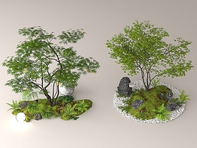 现代中式室内景观 景观小品 景观树 庭院景观