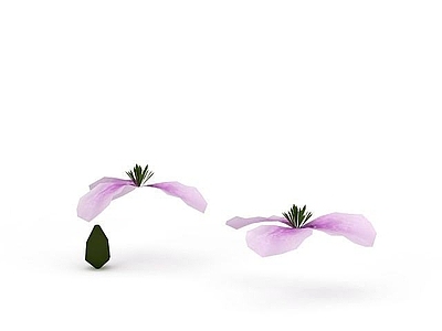 现代佛龛 紫色花