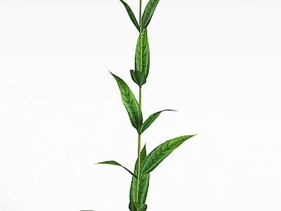 现代佛龛 黄花