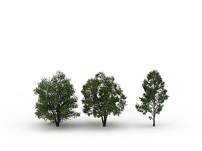 现代办公桌 景观树