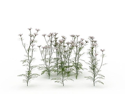 现代佛龛 花草