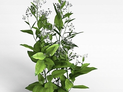 现代佛龛 花草