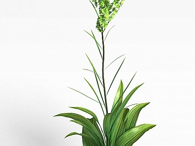 现代佛龛 绿色植物
