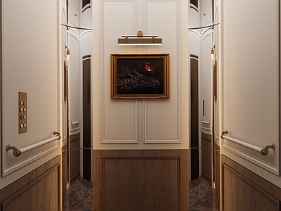 轻奢意式其他家装 意式轻奢电梯厅 挂画 壁灯 电梯内部设计 拉手
