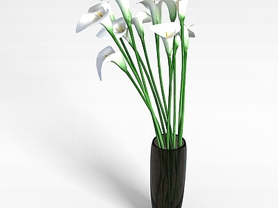 现代白色喇叭花