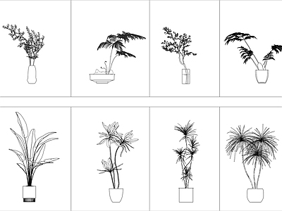 现代绿植 现代盆栽 水培植物 施工图