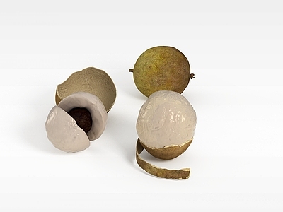 现代龙眼