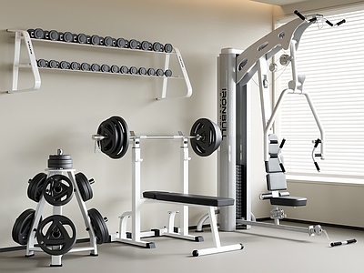 现代极简健身器材 现代健身器材