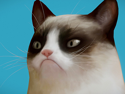 虚拟人物 猫