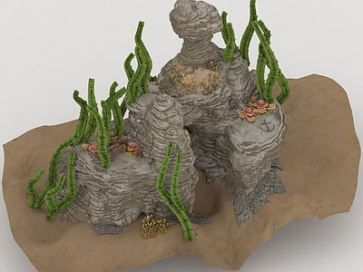 水生类动物 海洋动物