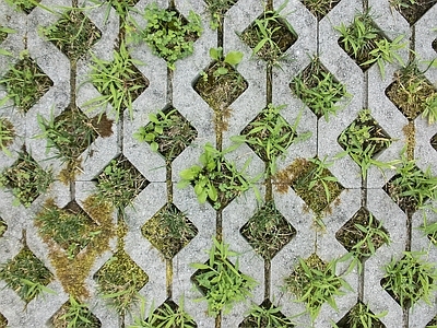 现代植草砖 植草砖 户外地面