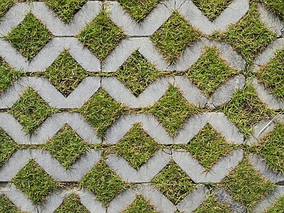 现代植草砖 植草砖 户外地面