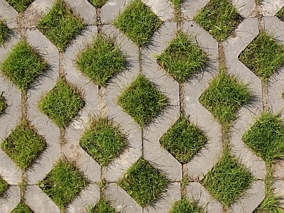 现代植草砖 植草砖 户外地面