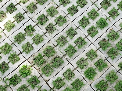 现代植草砖 植草砖