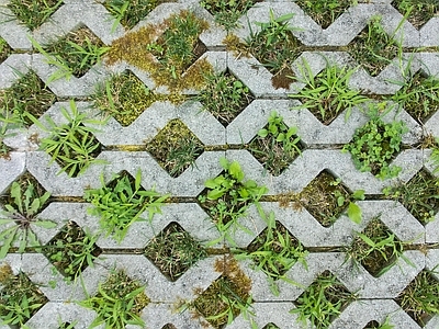 现代植草砖 植草砖