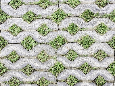 现代植草砖 植草砖 户外地面