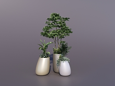 盆栽 现代办公绿植组合 绿植盆栽 绿植组合 金属现代花盆
