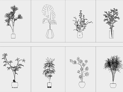 现代绿植 现代盆栽植物 水培植物 施工图